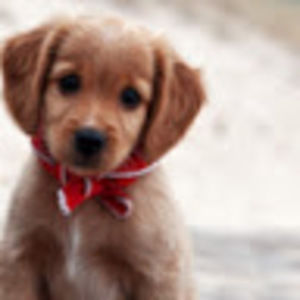 Meet your Posher, Yaneli